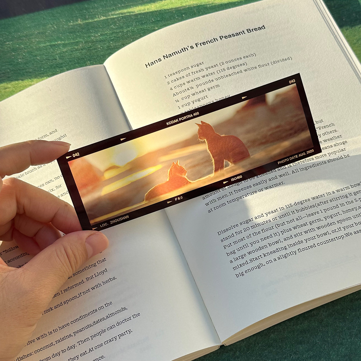 Filmbladwijzer Handgemaakt Vin - Dried Flower Bookmark recensie en prijs